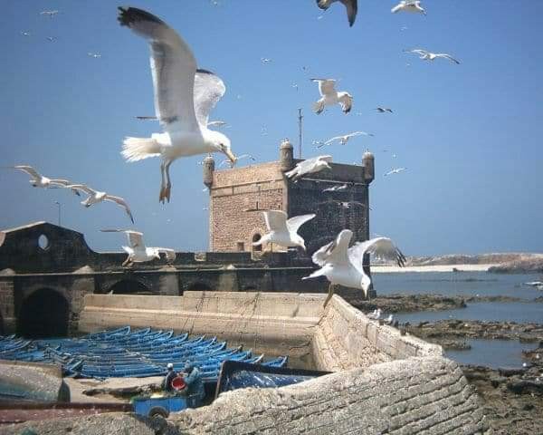 Fb img 1612486855418
