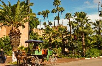 Taroudant & tiout 