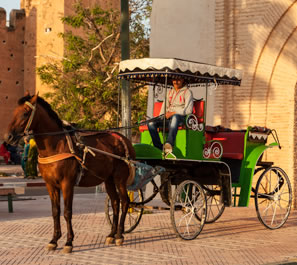Taroudant & tiout 