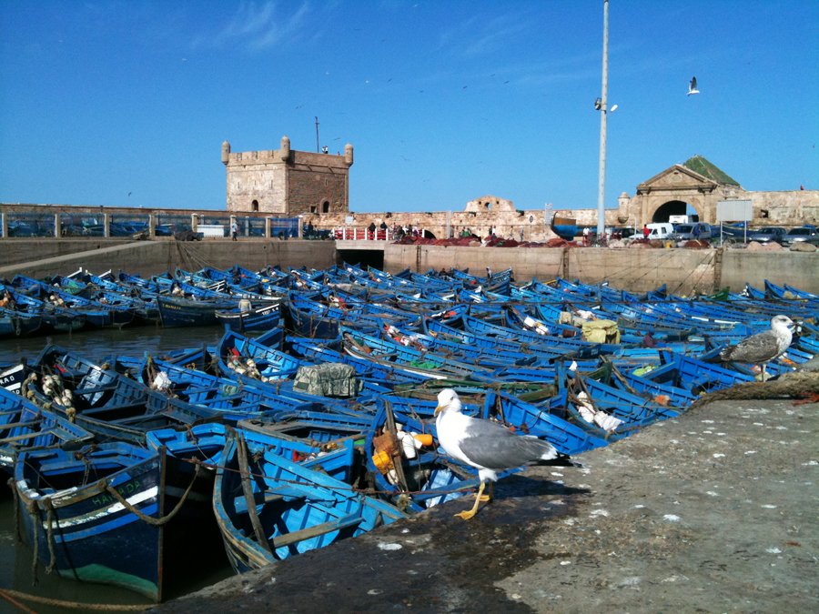 Essaouira day trip 