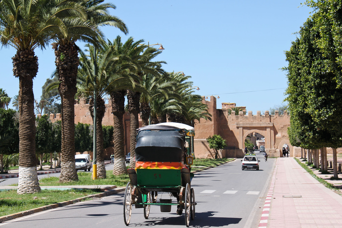 Taroudant & tiout 