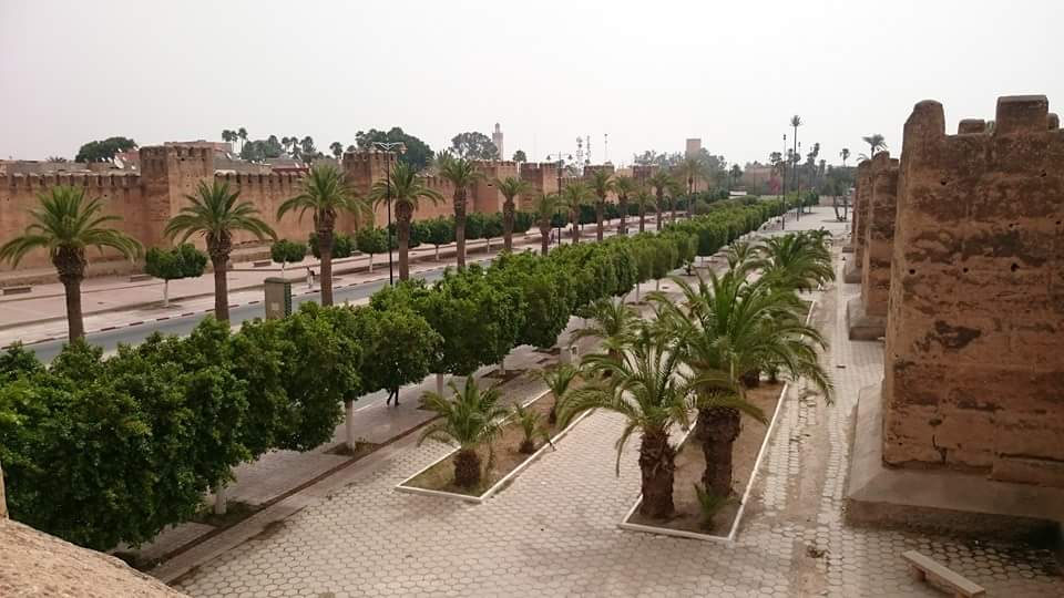 Taroudant & tiout 