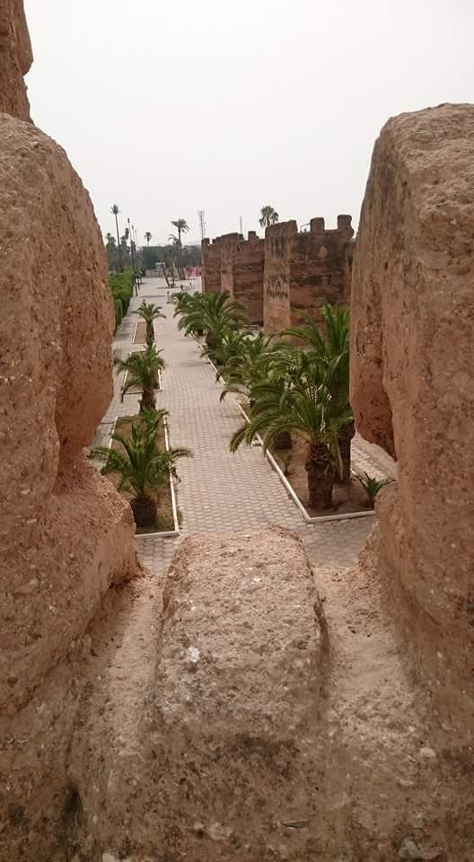 Taroudant & tiout 