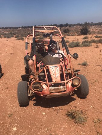 Buggy safari 